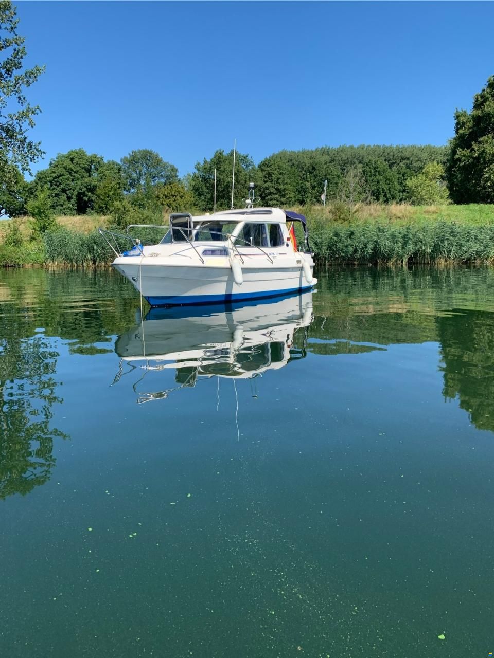 Bella 703