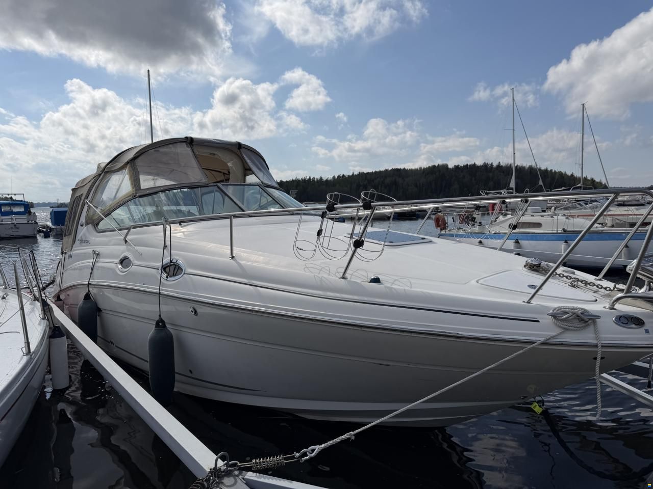 Sea Ray Sundancer 280/315