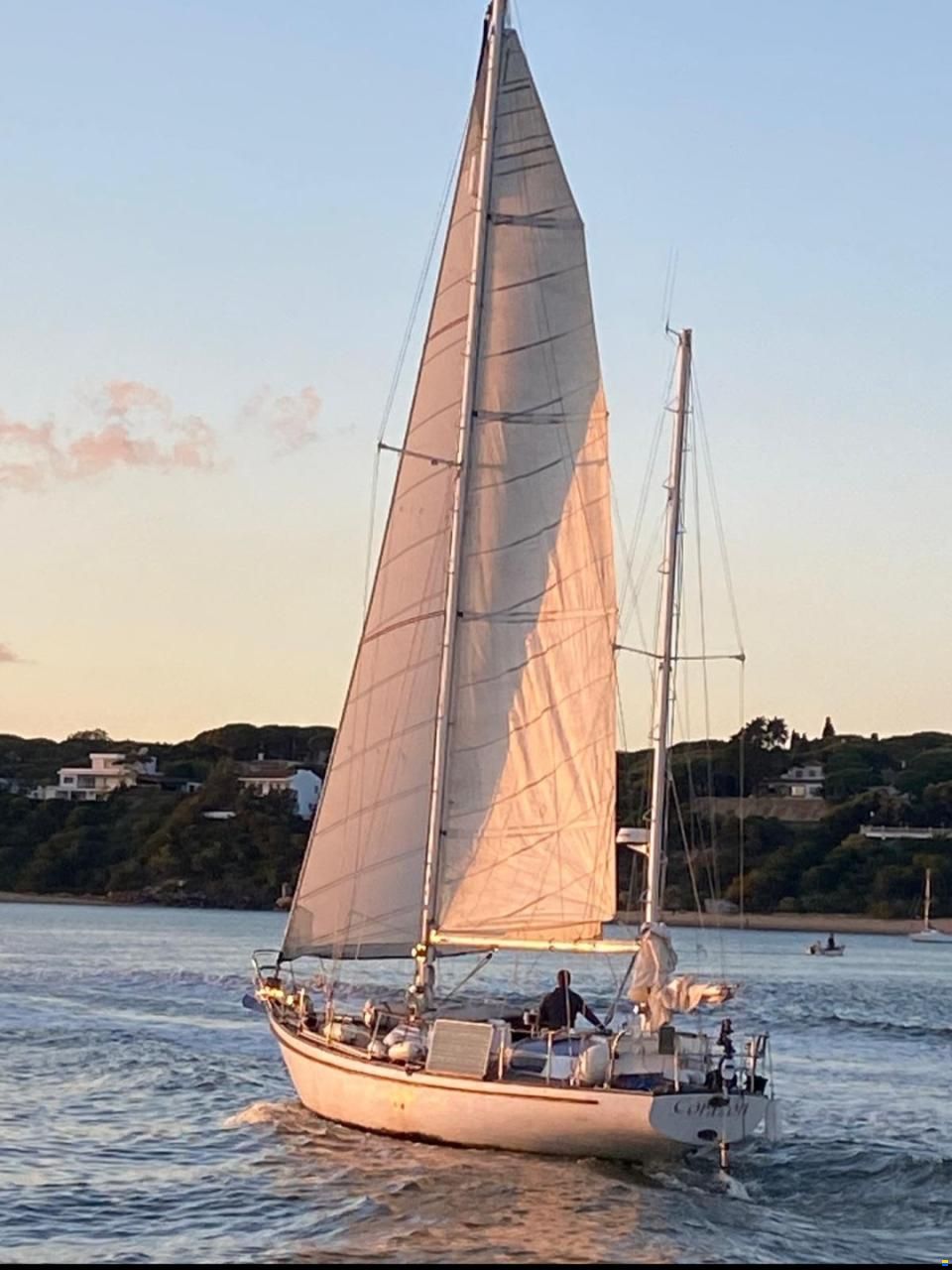 Bowman 49