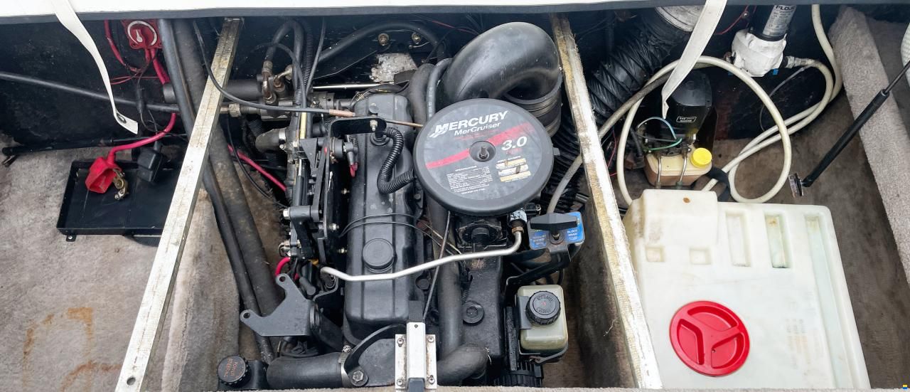 Stingray Clx 190