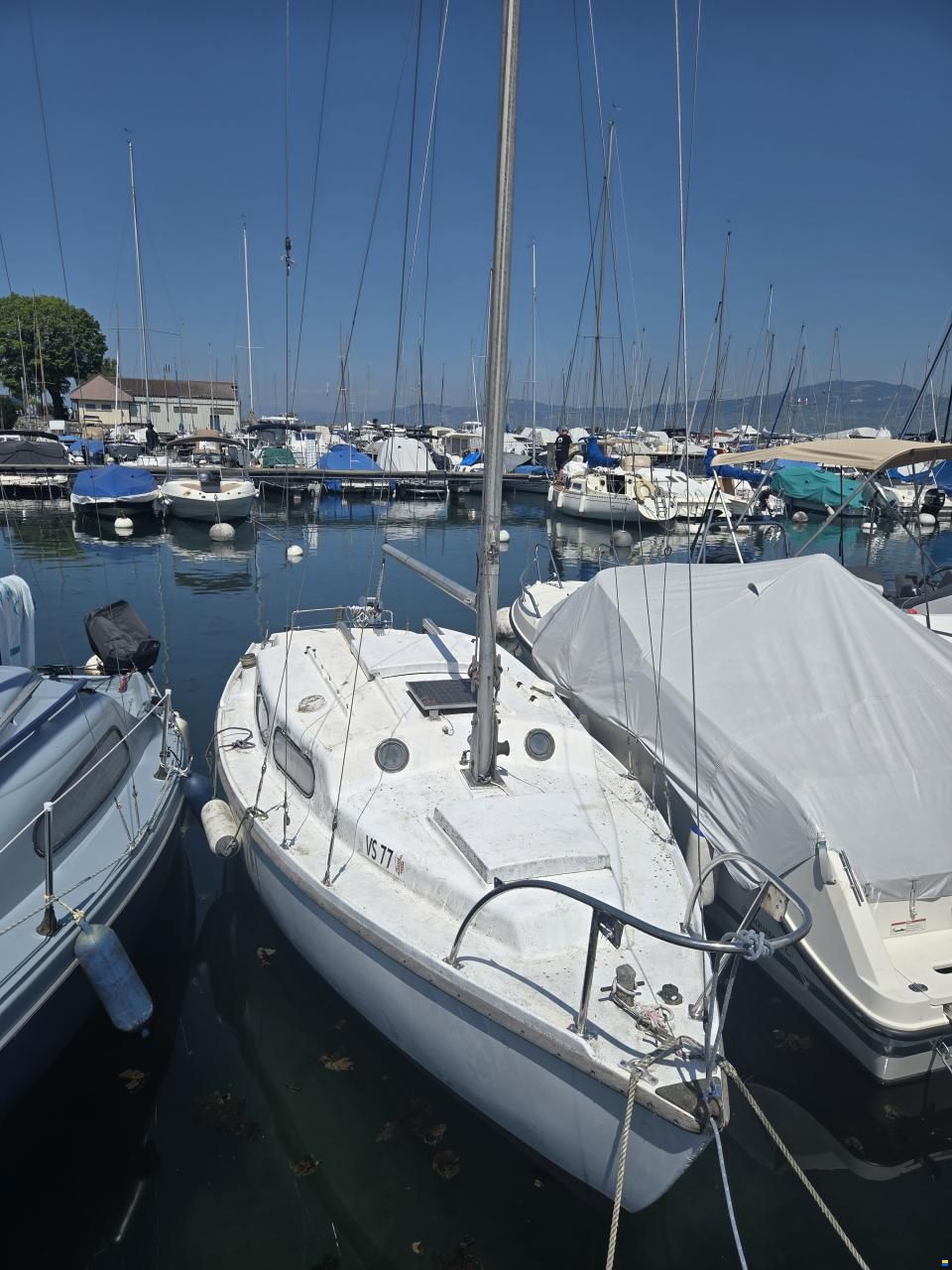 Russel Marine Vivacity 20
