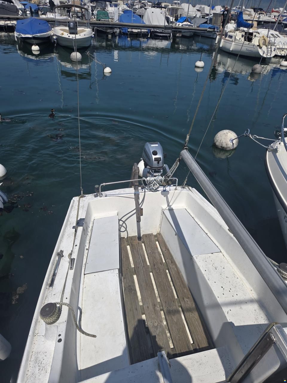 Russel Marine Vivacity 20