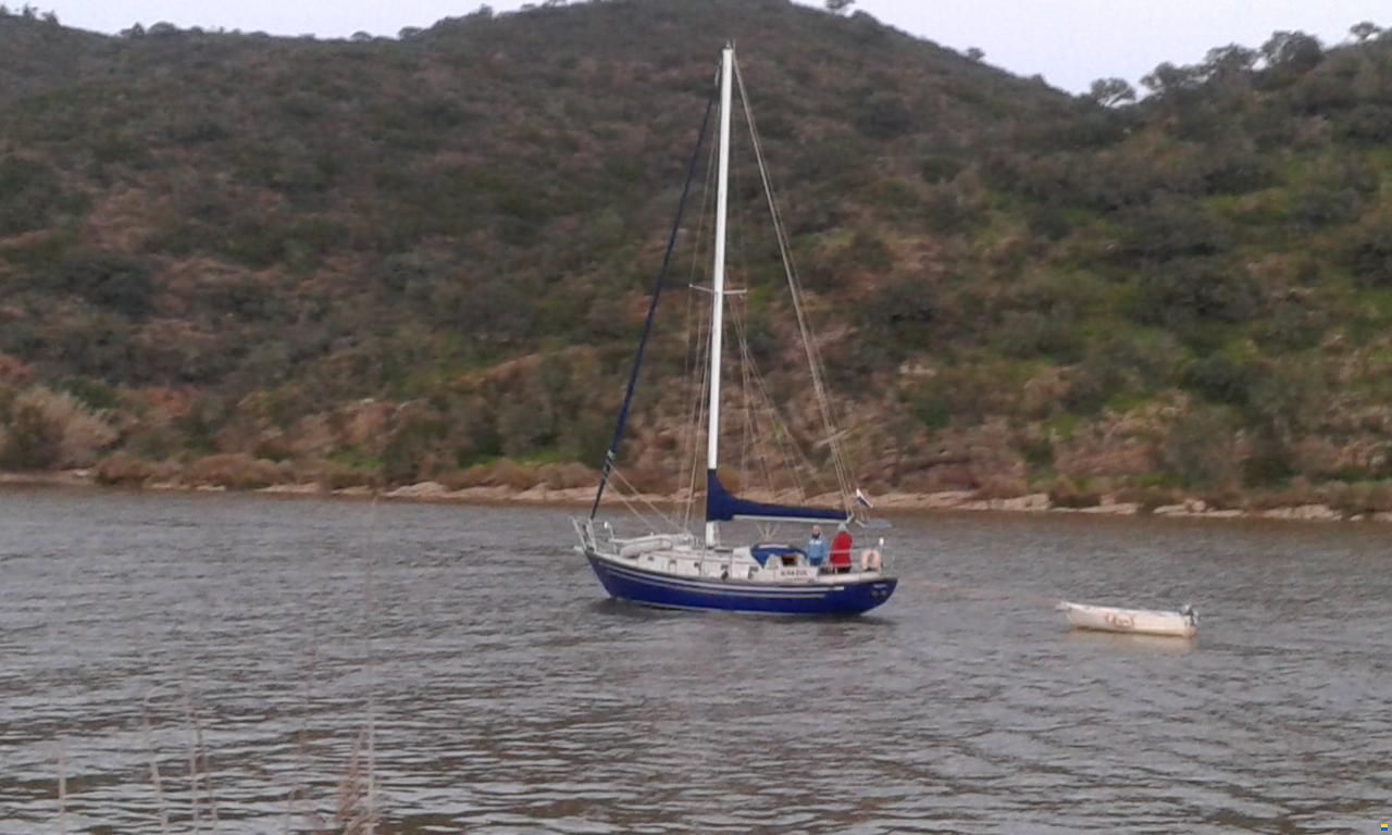 Mason 33' Sloop