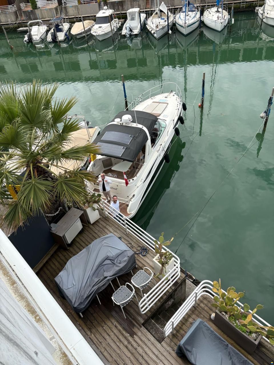 Bayliner 325 SB