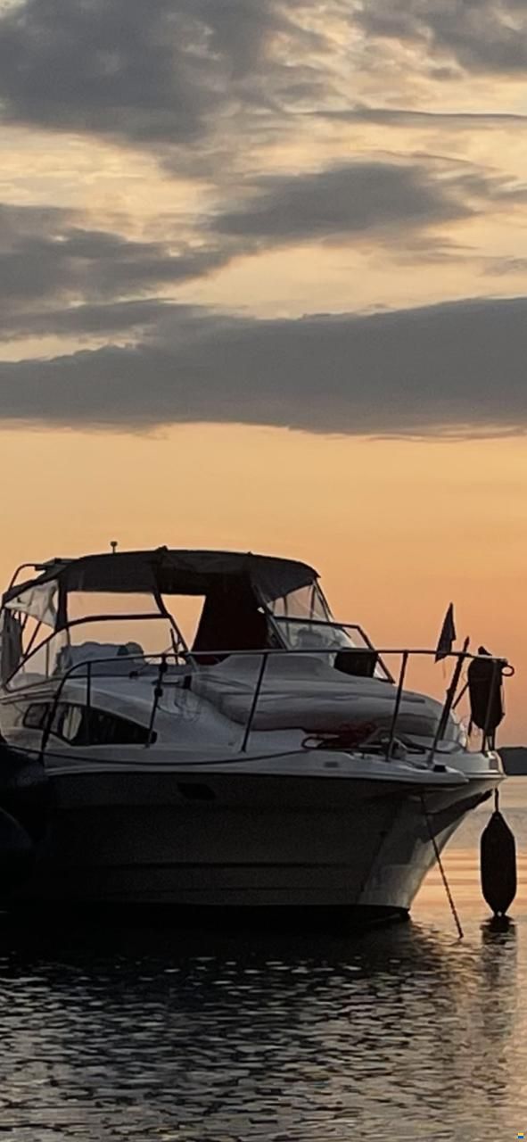 Bayliner 2855 Ciera