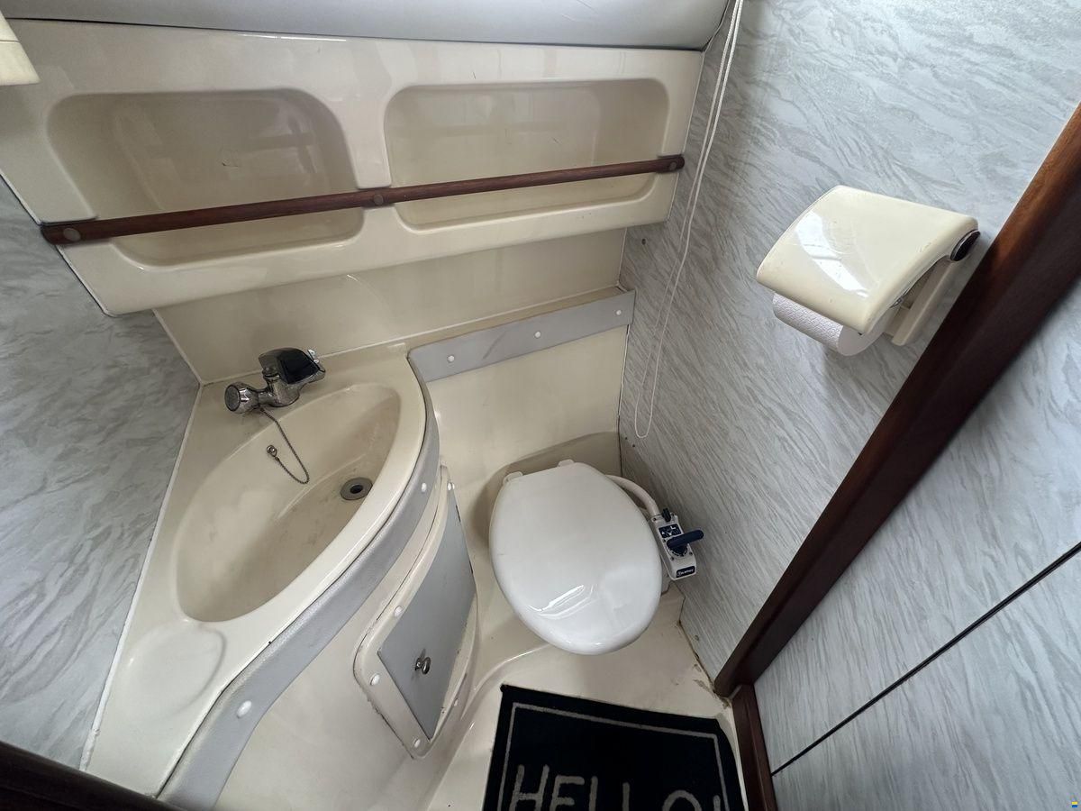 Sealine 255 Family