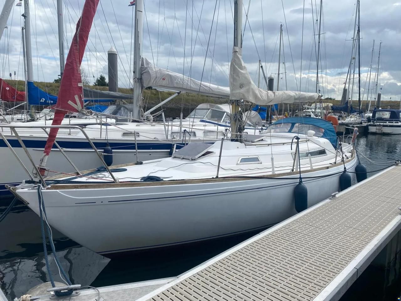Camper & Nicholsons 31