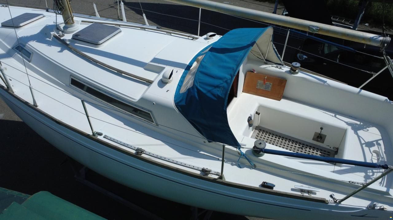 Camper & Nicholsons 31
