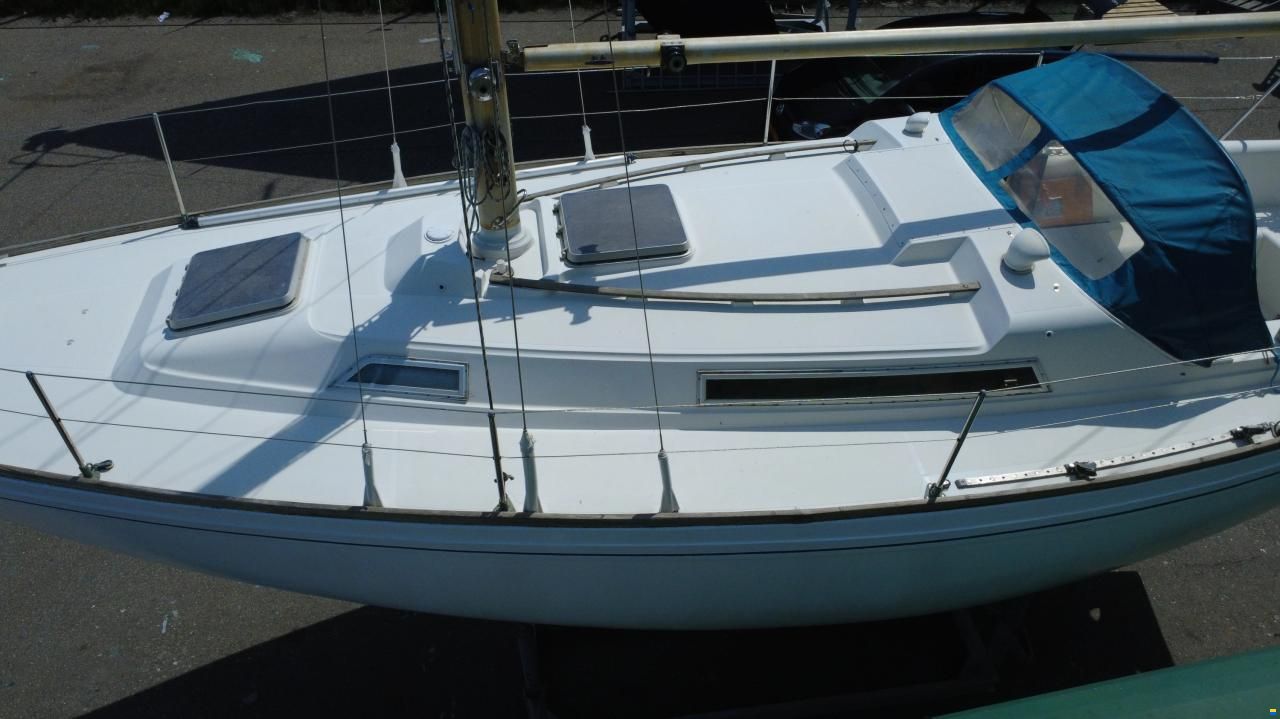 Camper & Nicholsons 31