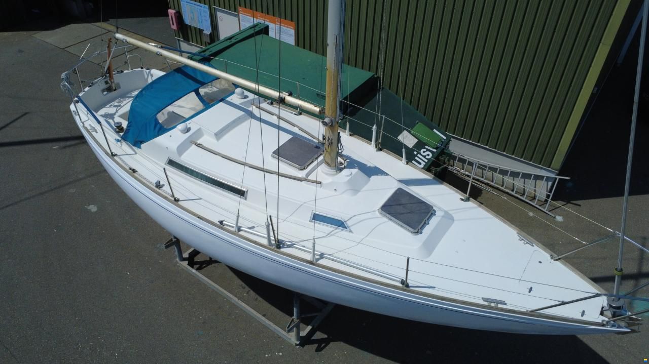 Camper & Nicholsons 31