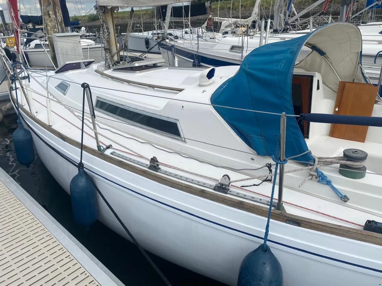 Camper & Nicholsons 31