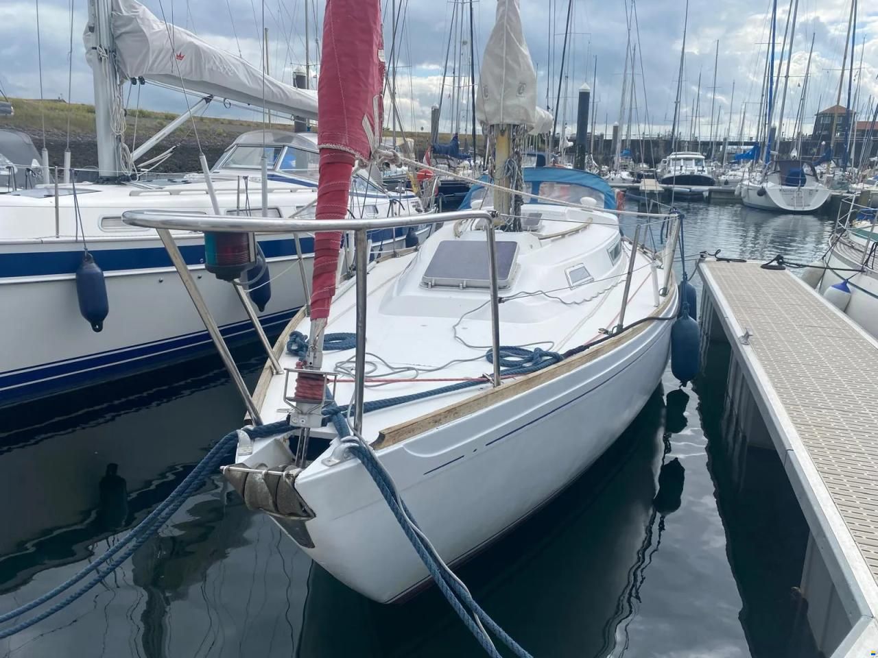 Camper & Nicholsons 31