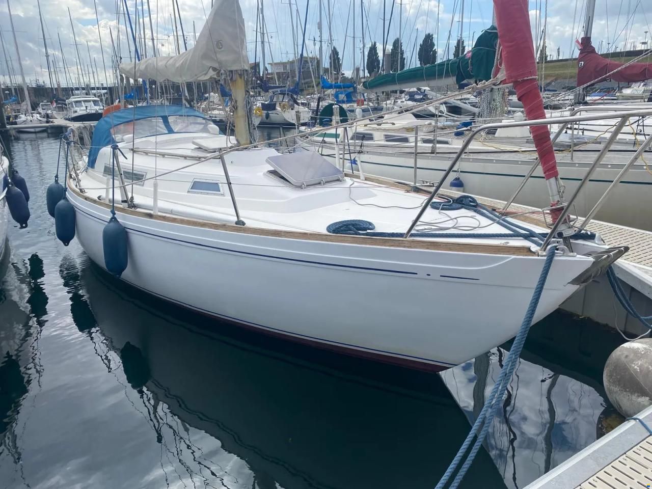 Camper & Nicholsons 31