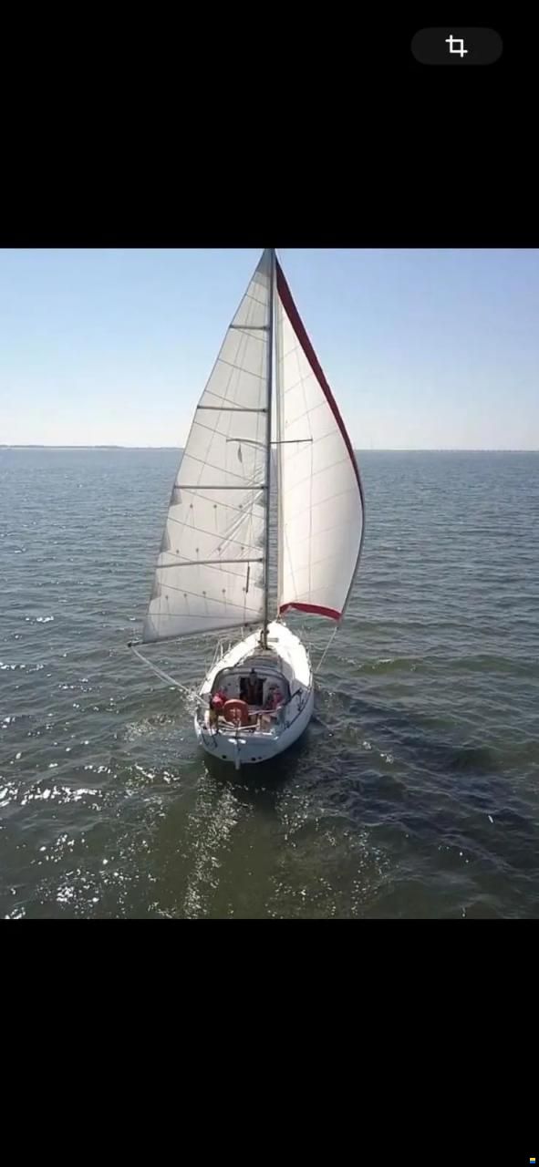 Camper & Nicholsons 31
