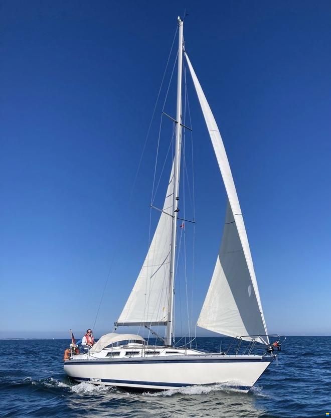 Hatecke Hornet 345