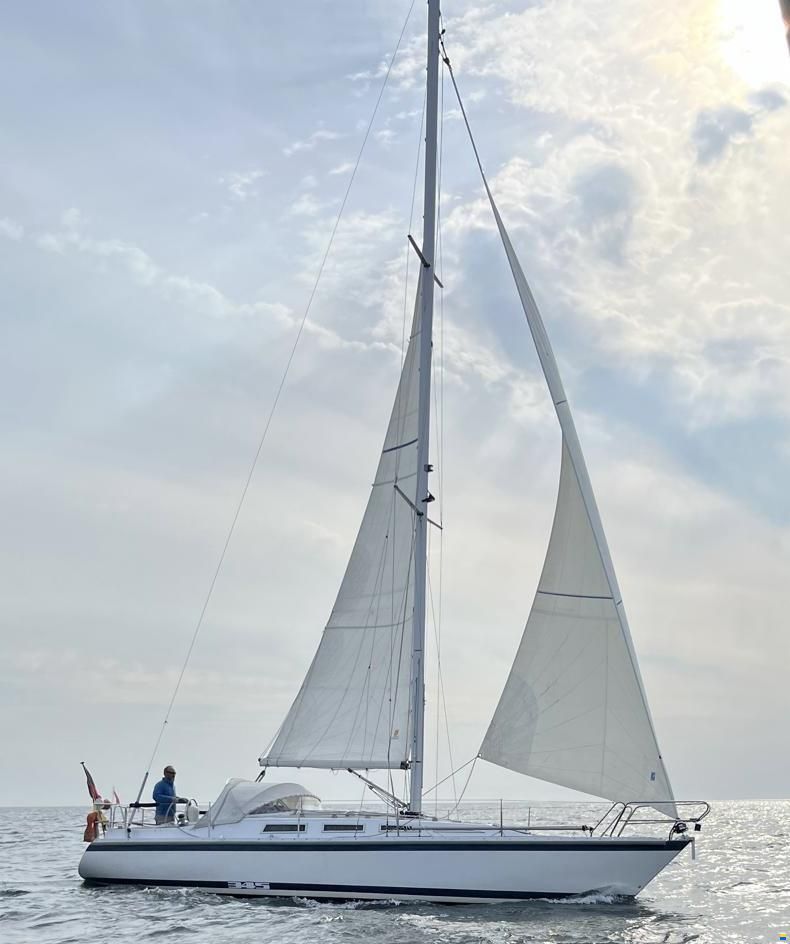 Hatecke Hornet 345