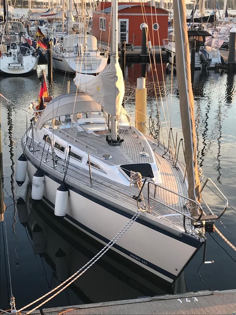 Hatecke Hornet 345