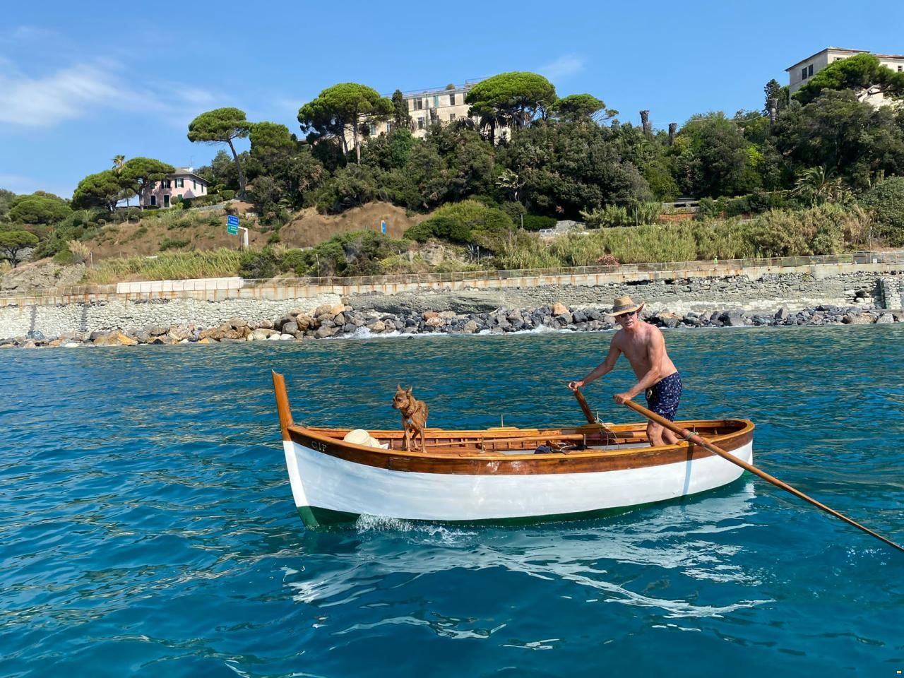 Gozzo