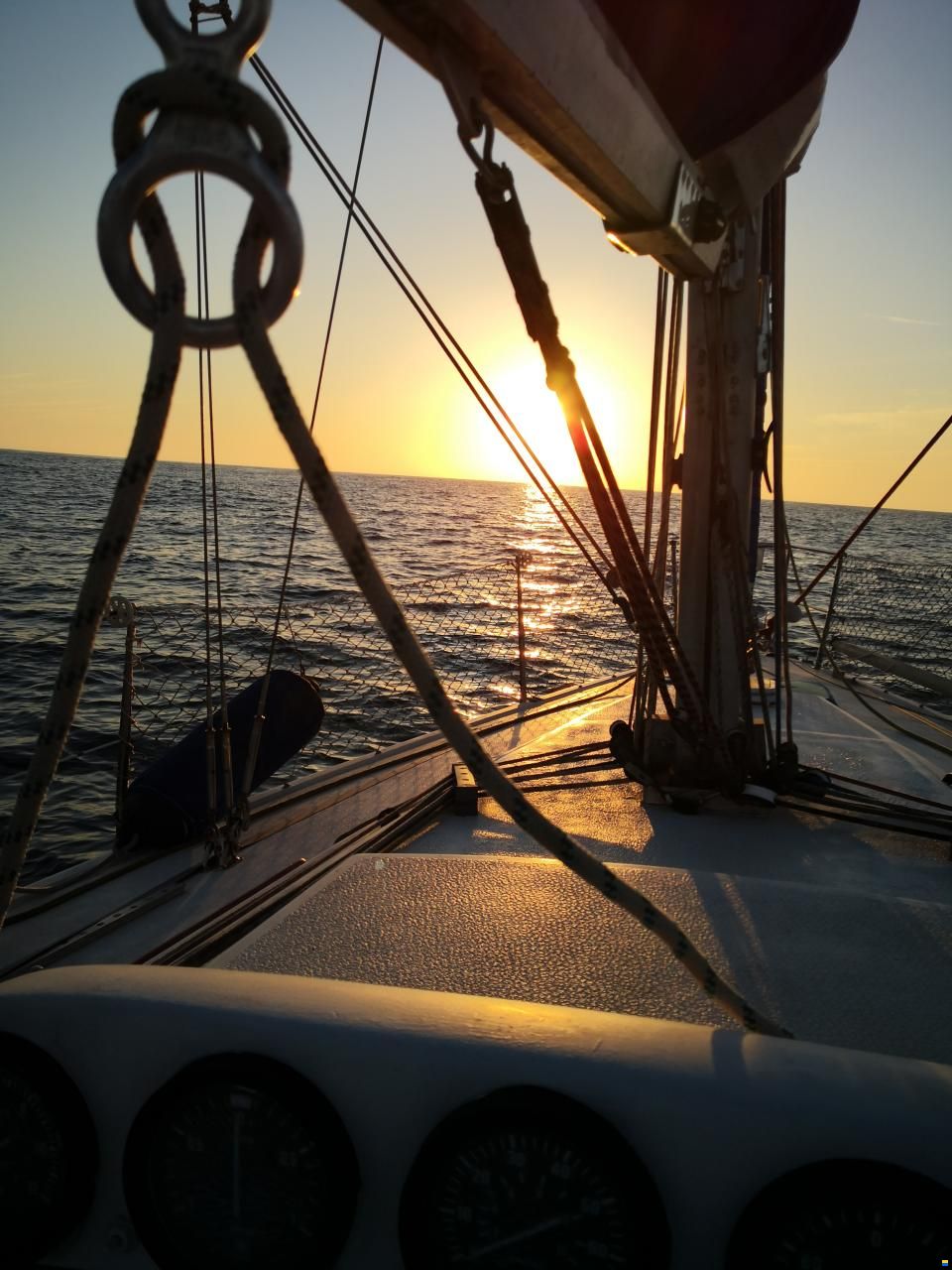 Noray 31