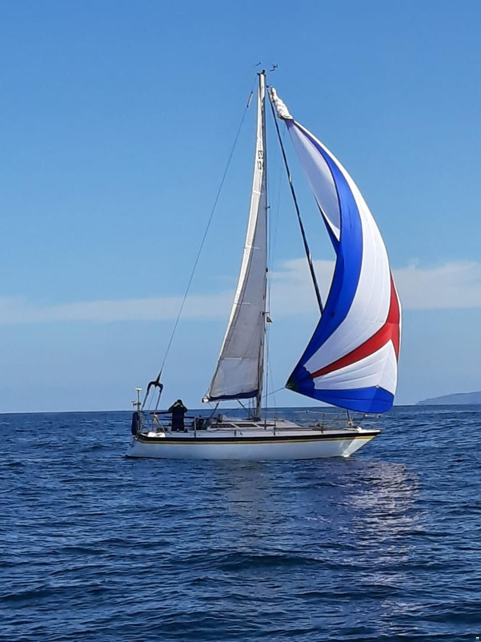 Noray 31