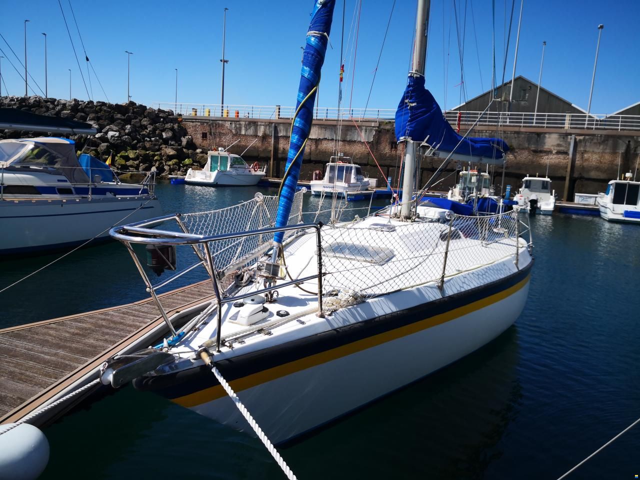 Noray 31
