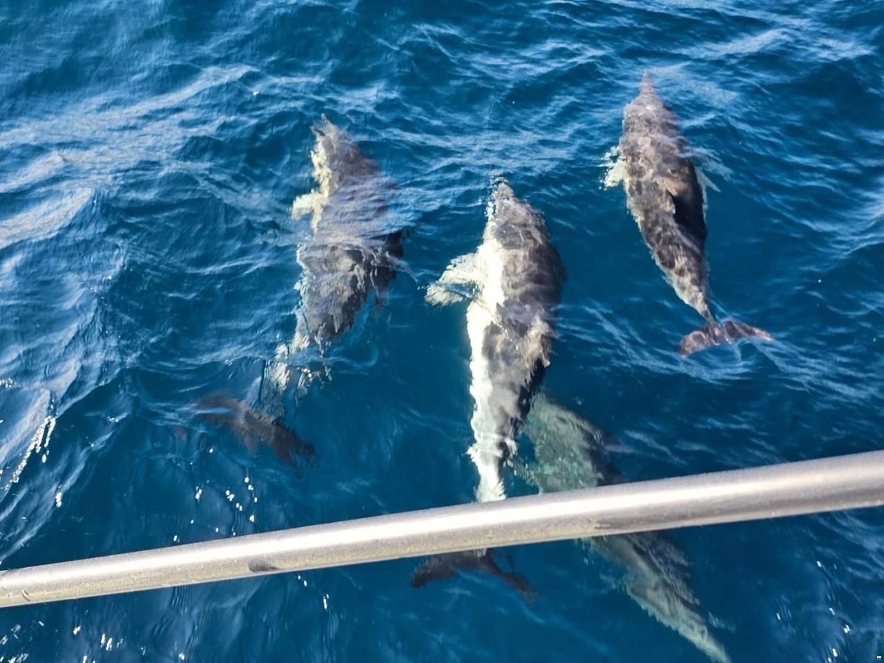 Lagoon 46