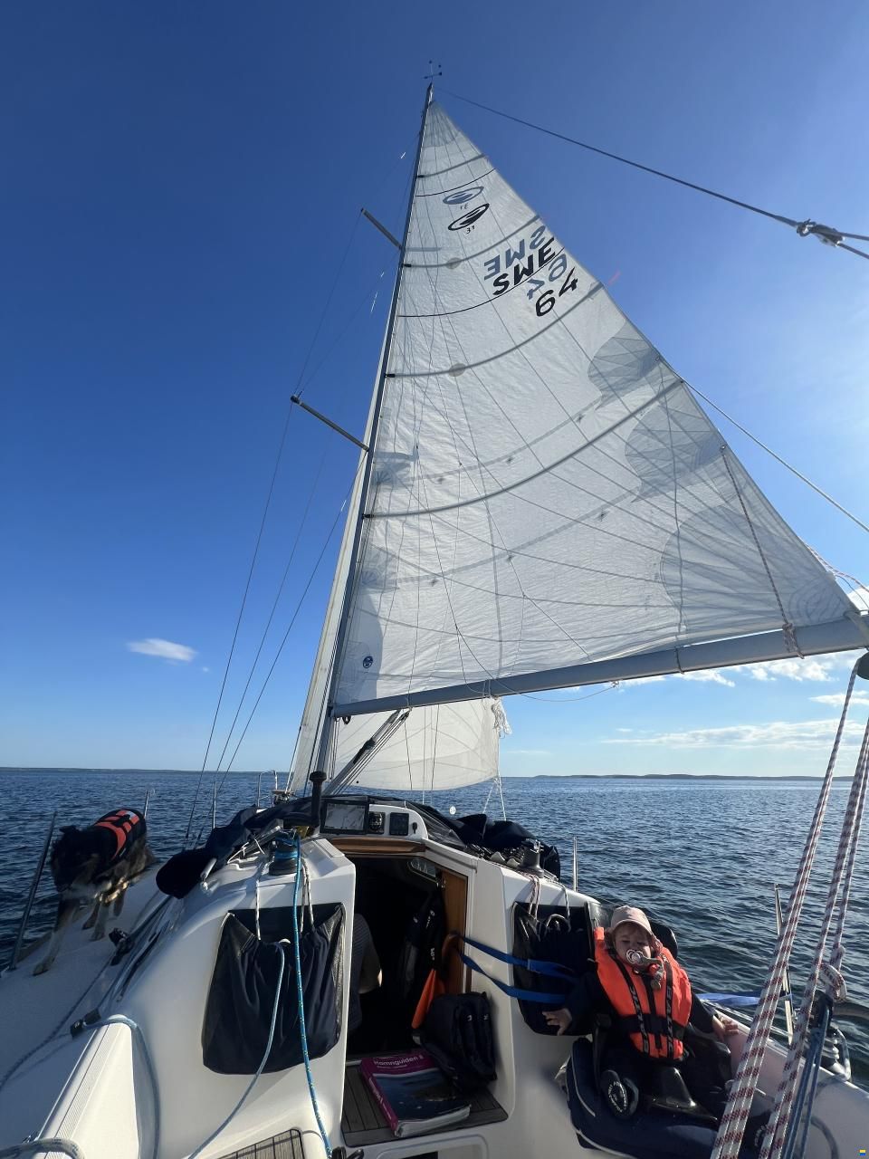 Elan 31