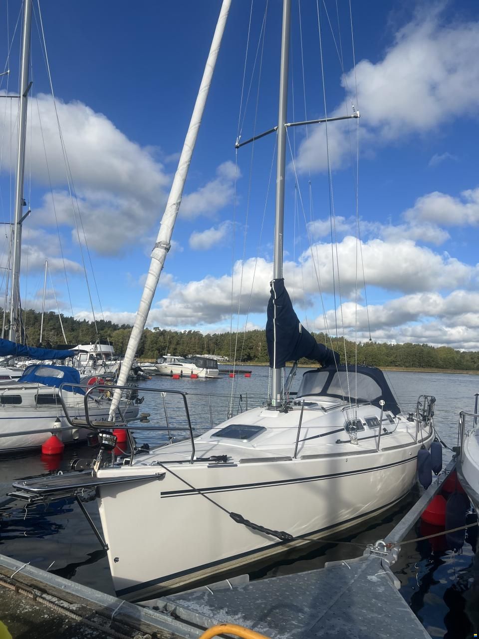 Elan 31