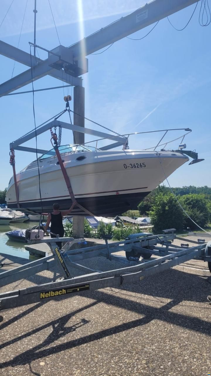 Sea Ray 260 Sundancer
