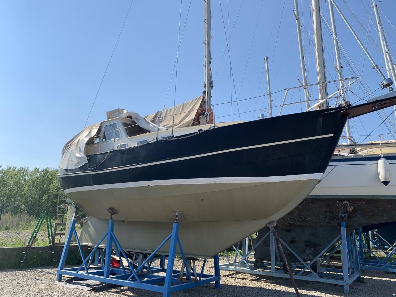Colin Archer Danish Rose 34