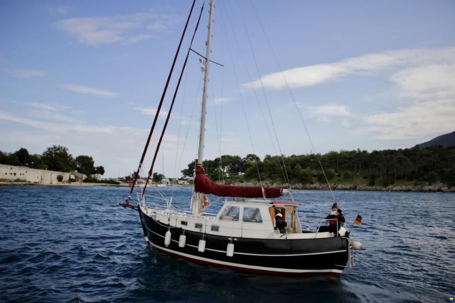 Colin Archer Danish Rose 34