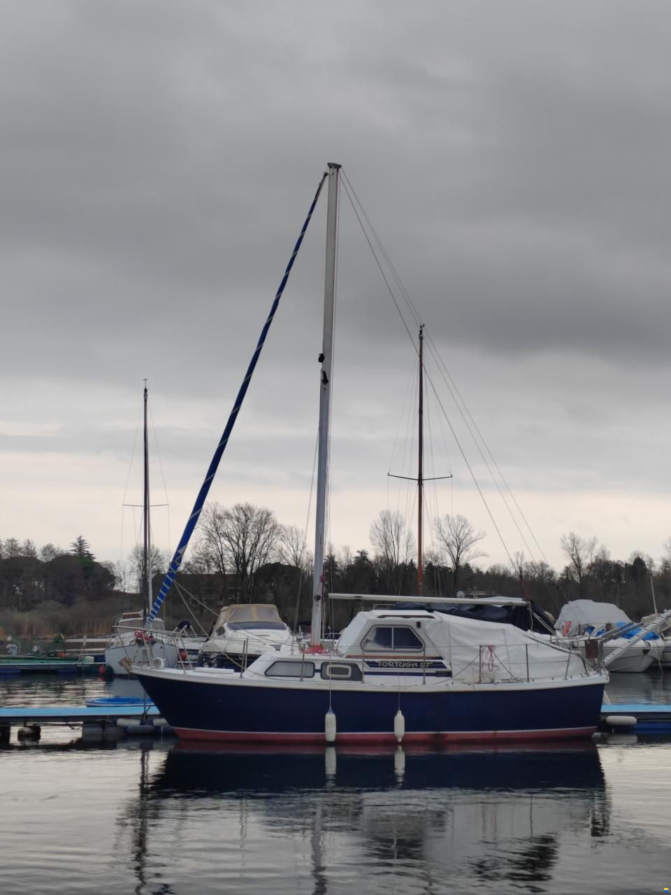 Tortuga 27