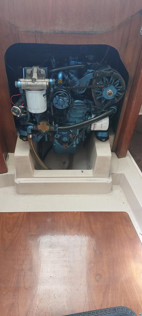 Hunter Ranger 265