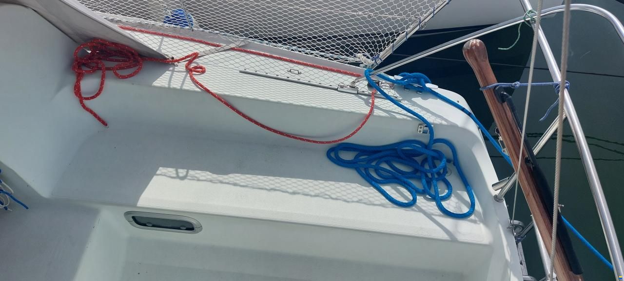 Hunter Ranger 265
