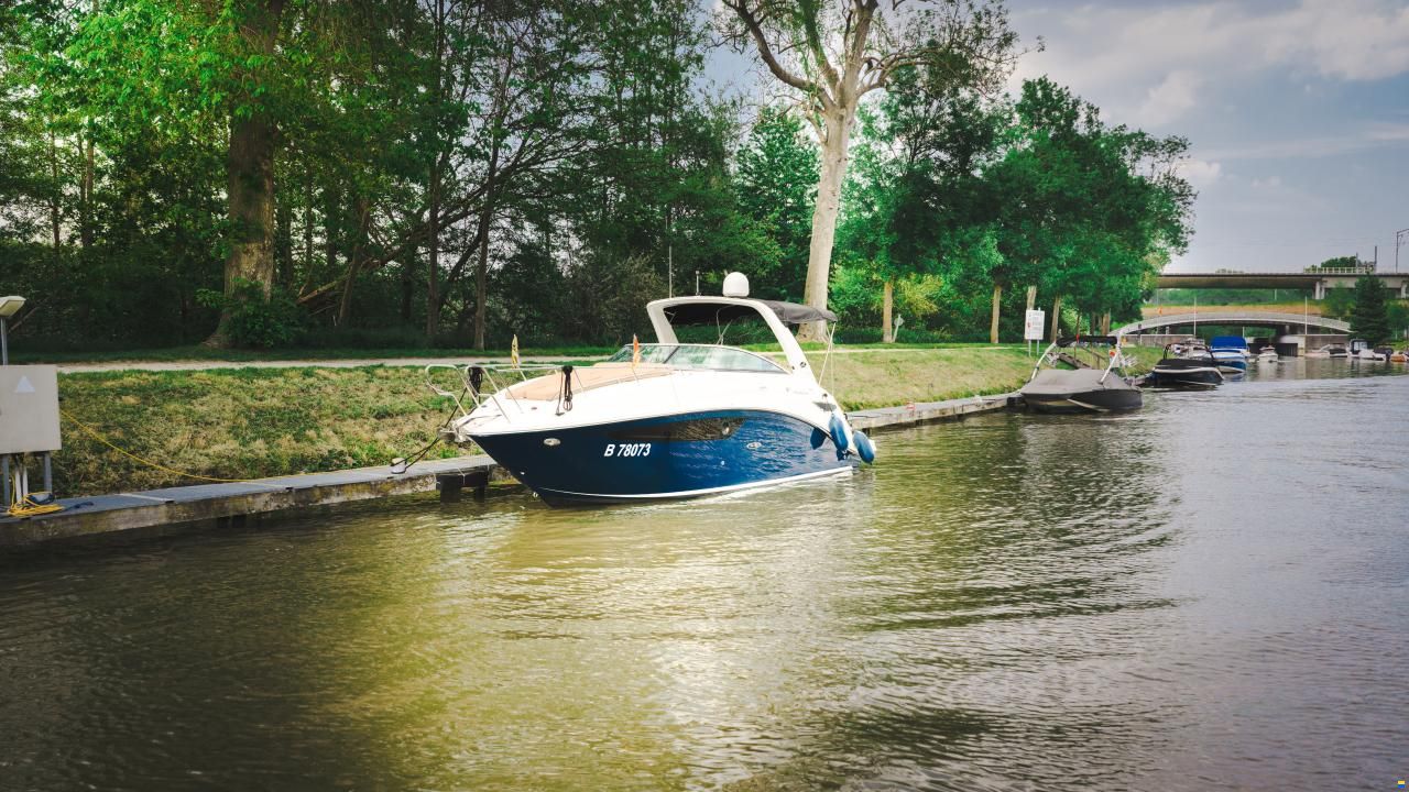 Sea Ray Sundancer 265