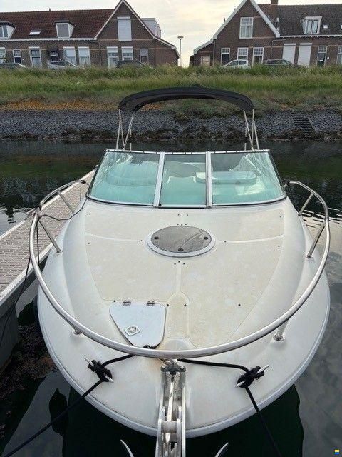Sessa Islamorada 23