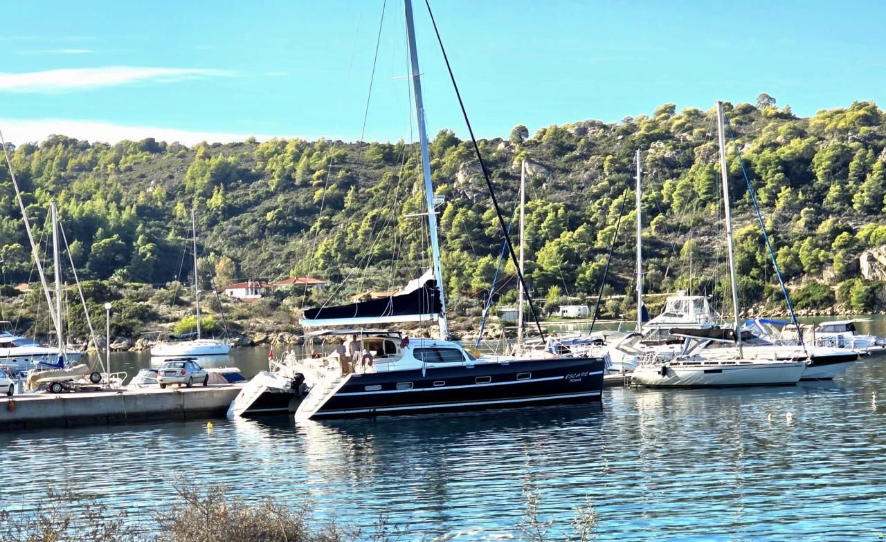 Alliaura Privilege 585