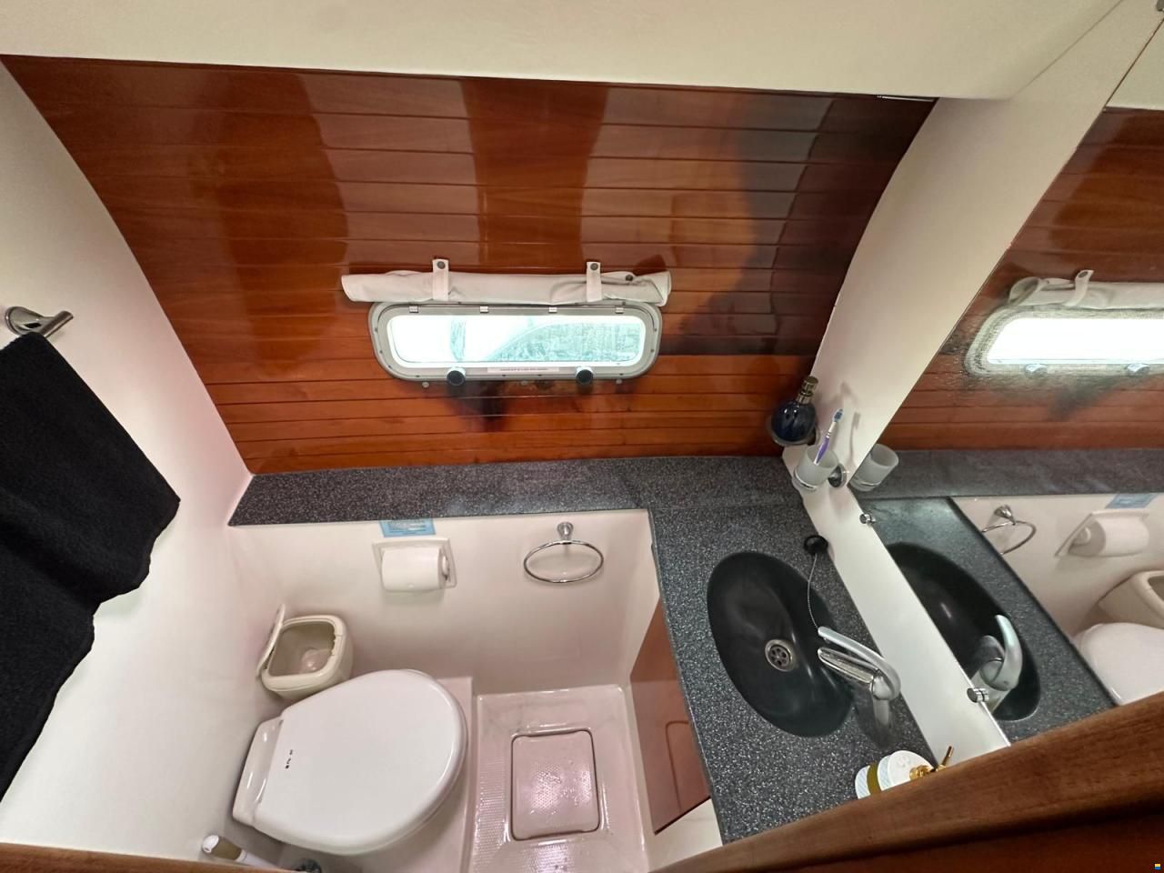 Alliaura Privilege 585