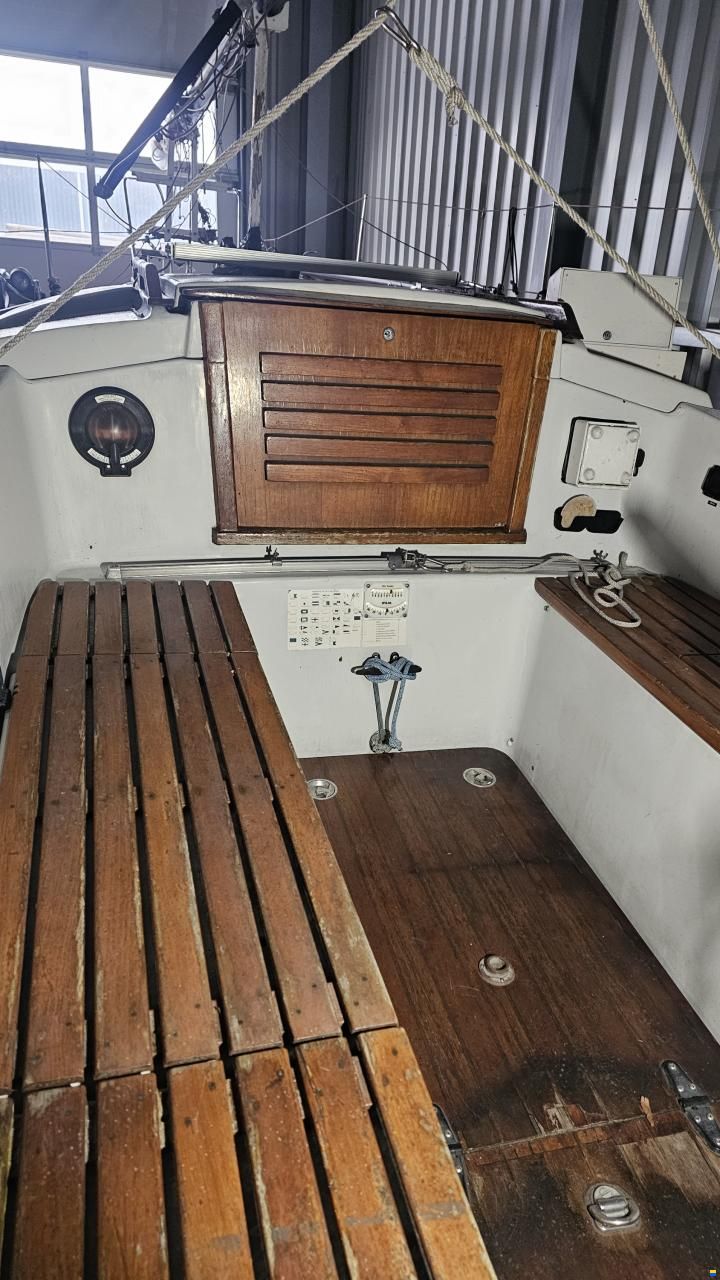Neptun 25