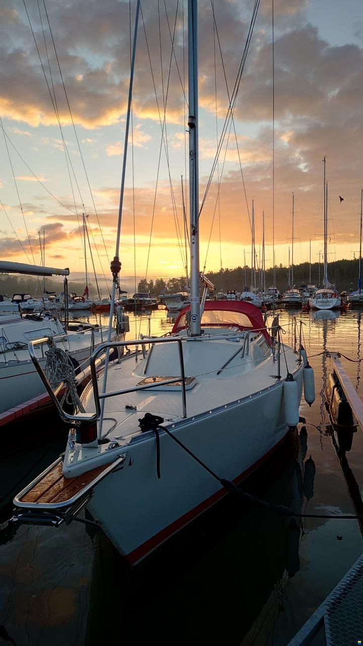 Albin Cumulus 28