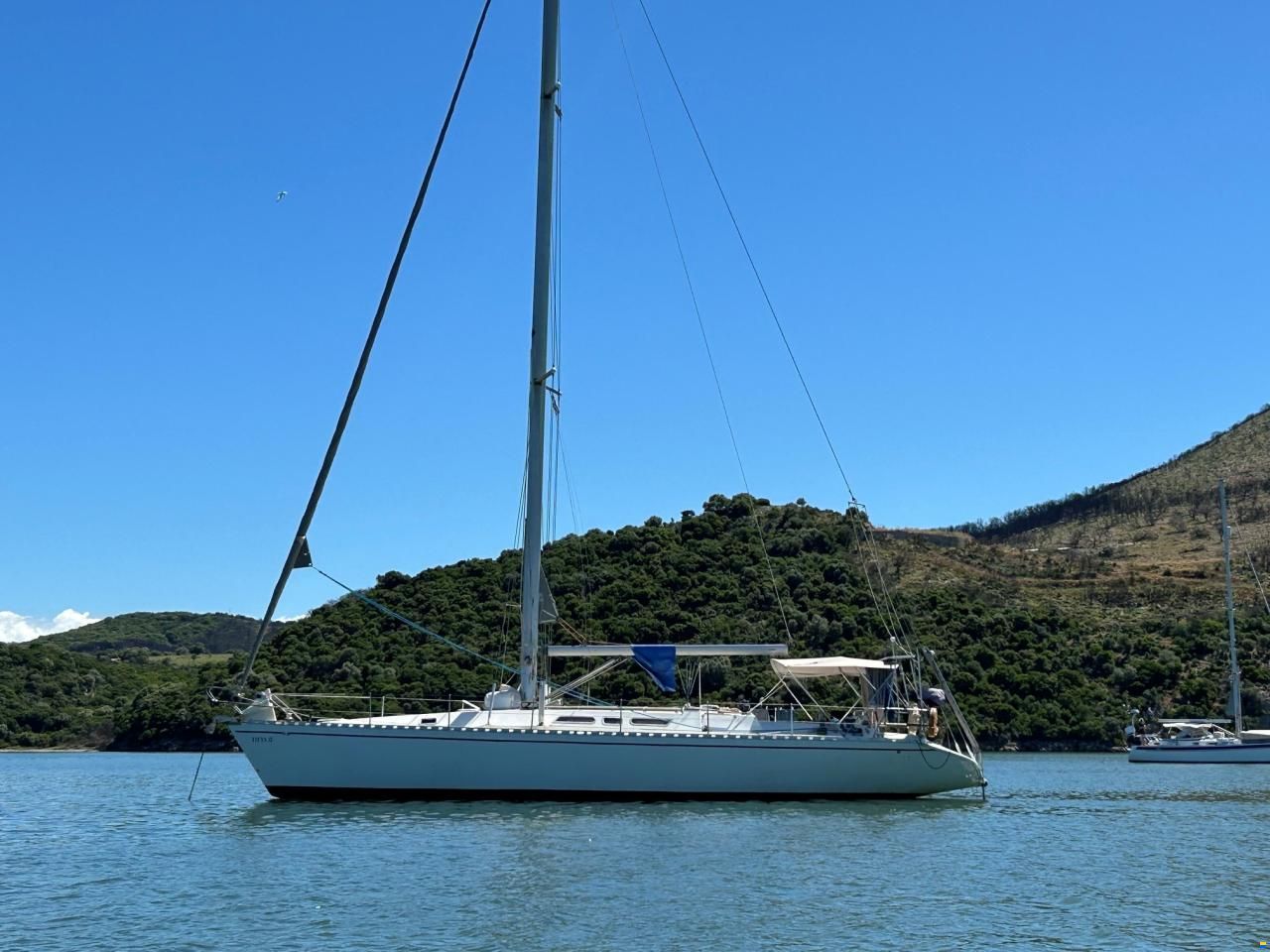 Atlantic Magic 49