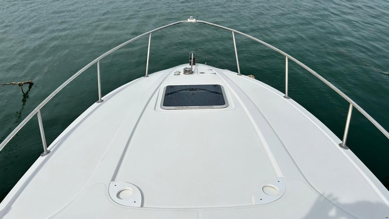 Chaparral Signature 276