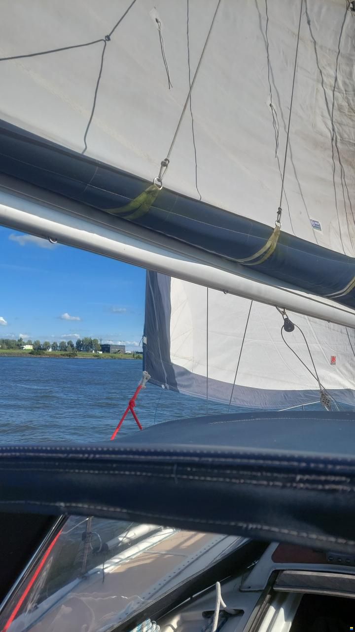 Dehler Optima 101
