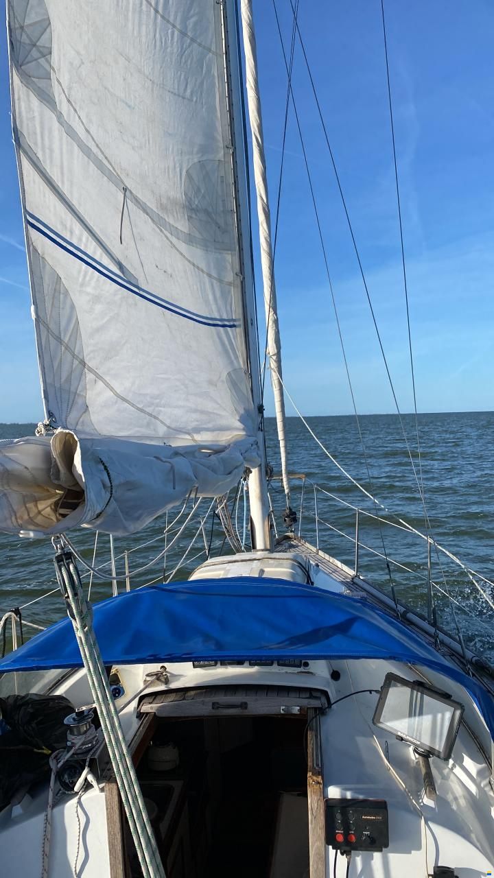 Defender 32