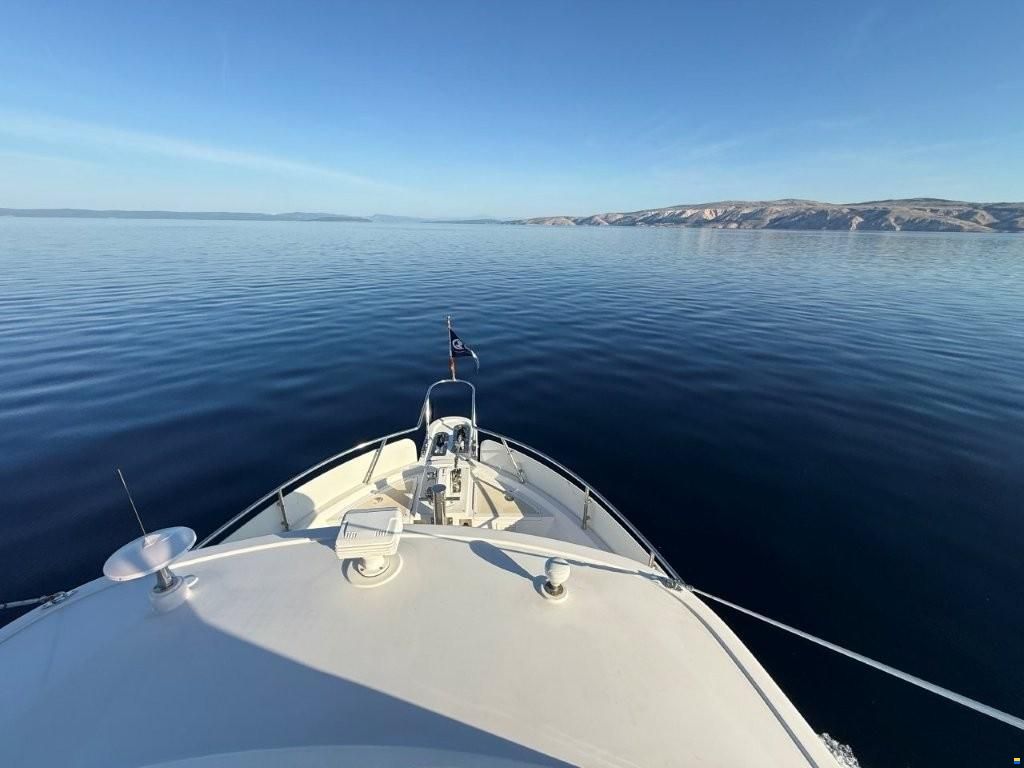 Selene 40