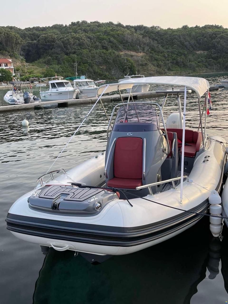 Grand Golden Line 650