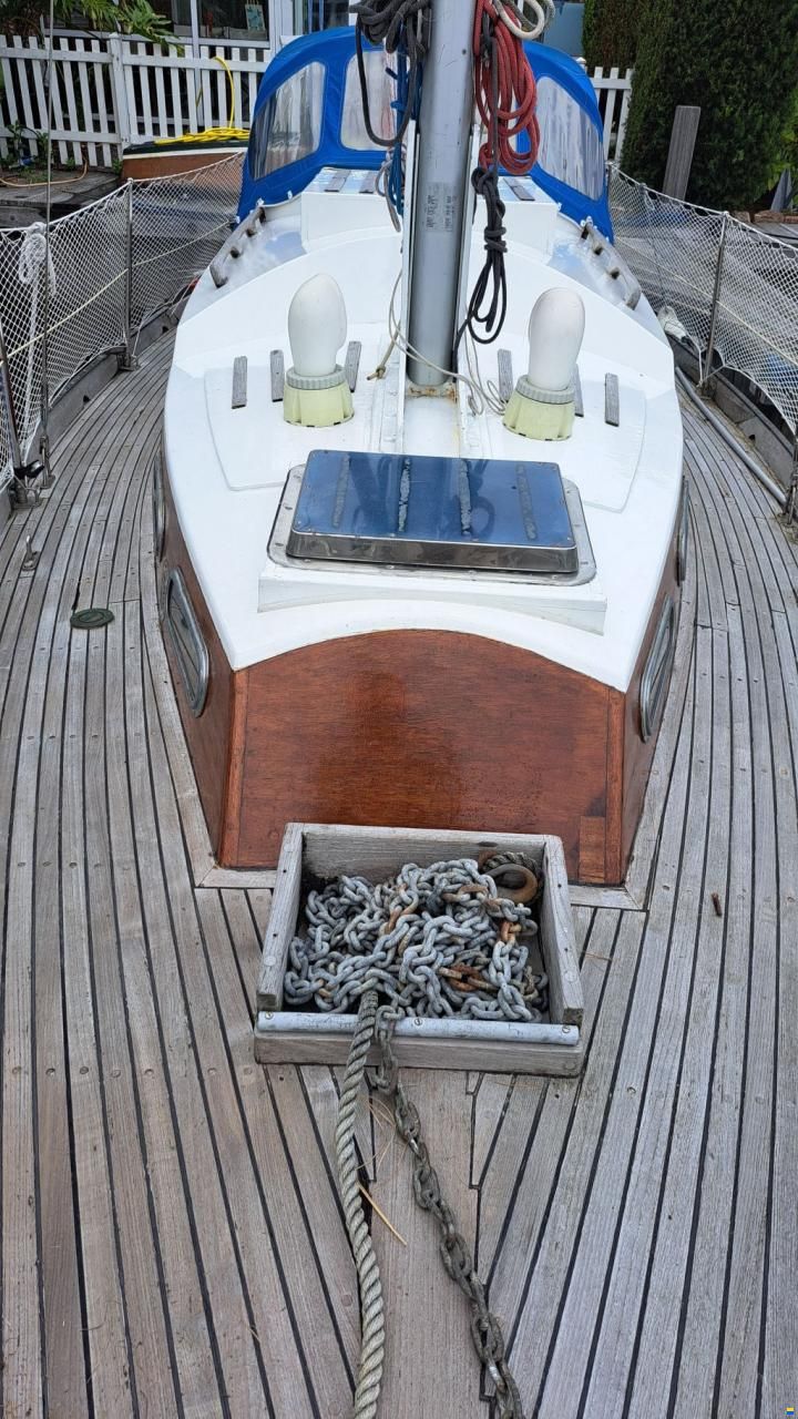 Trintalla 1A