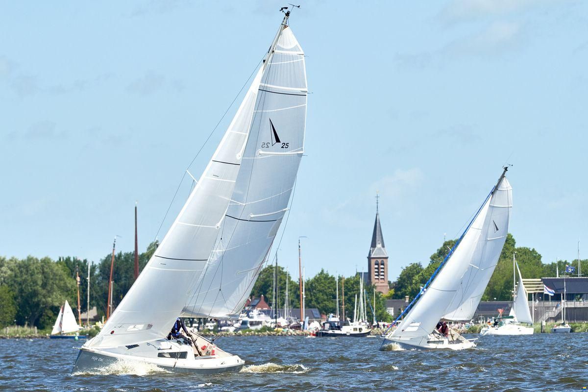 Pointer 25
