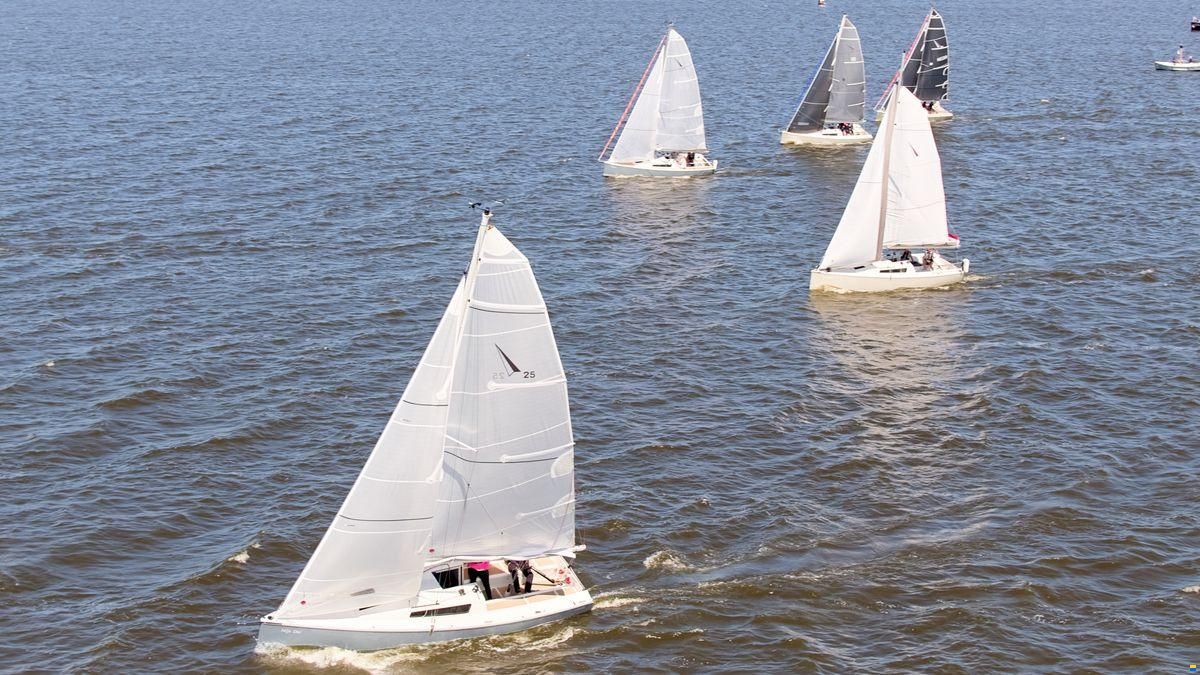 Pointer 25