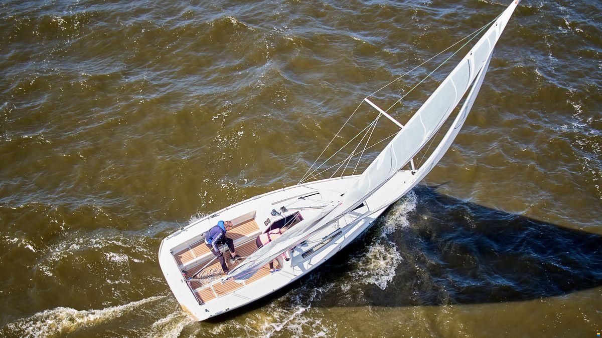 Pointer 25
